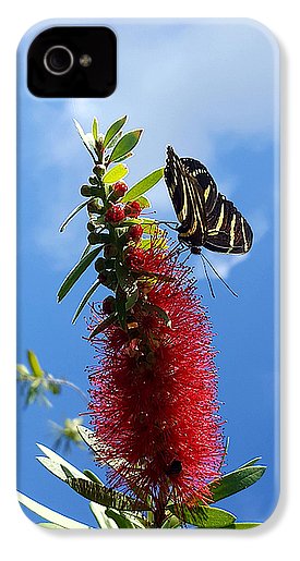 Beauty All Around - Phone Case