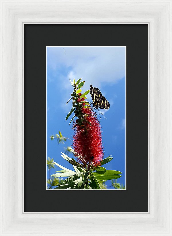 Beauty All Around - Framed