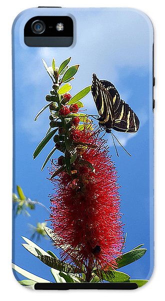 Beauty All Around - Phone Case