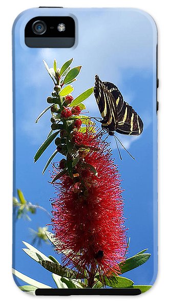 Beauty All Around - Phone Case