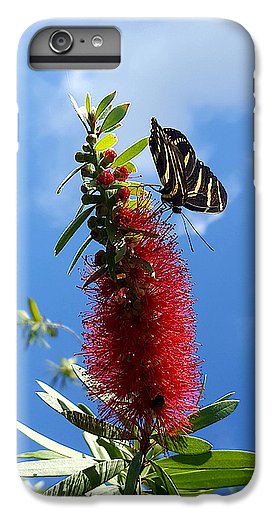 Beauty All Around - Phone Case