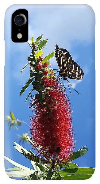 Beauty All Around - Phone Case