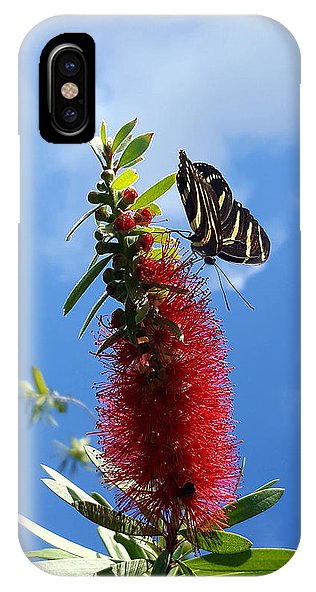 Beauty All Around - Phone Case