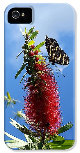 Beauty All Around - Phone Case
