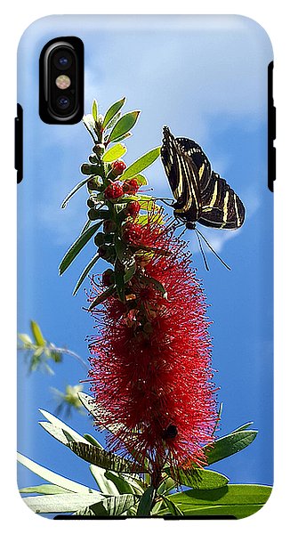 Beauty All Around - Phone Case