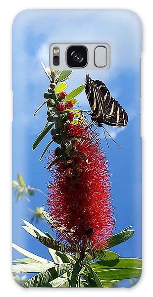 Beauty All Around - Phone Case