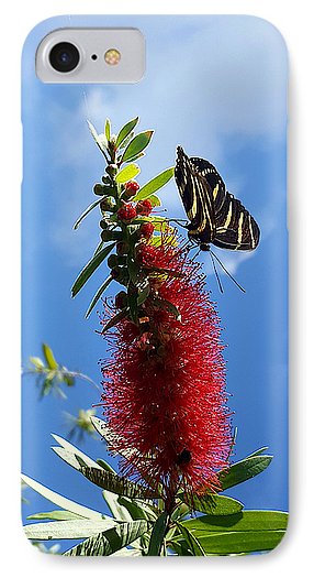 Beauty All Around - Phone Case