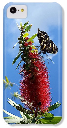 Beauty All Around - Phone Case