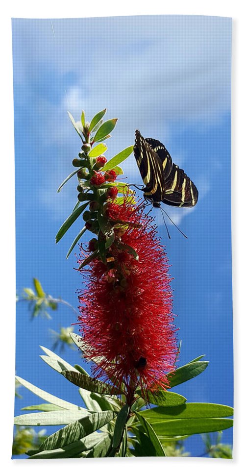 Beauty All Around - Bath Towel