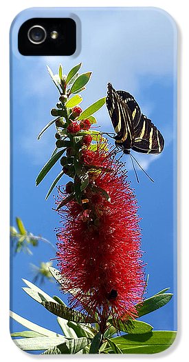 Beauty All Around - Phone Case