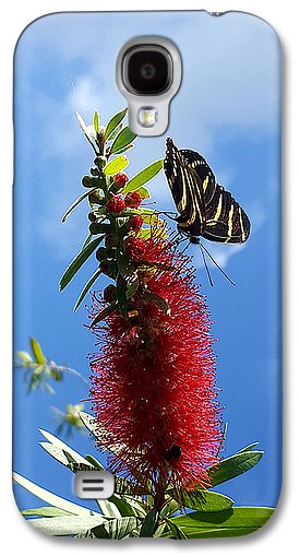Beauty All Around - Phone Case