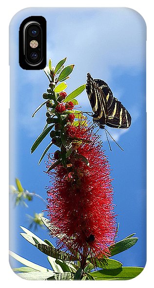 Beauty All Around - Phone Case