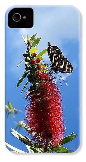 Beauty All Around - Phone Case