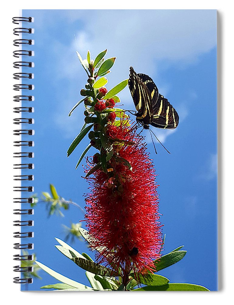 Beauty All Around - Spiral Notebook