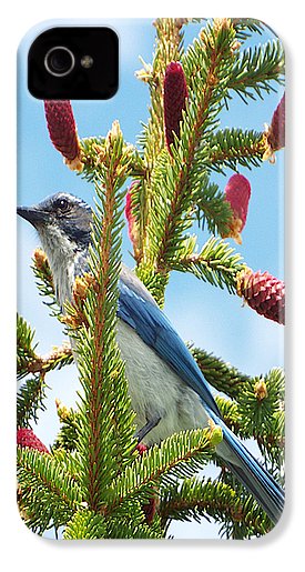 Blue Jay Watches - Phone Case