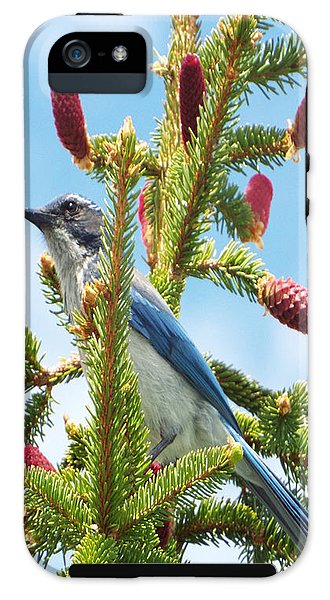 Blue Jay Watches - Phone Case