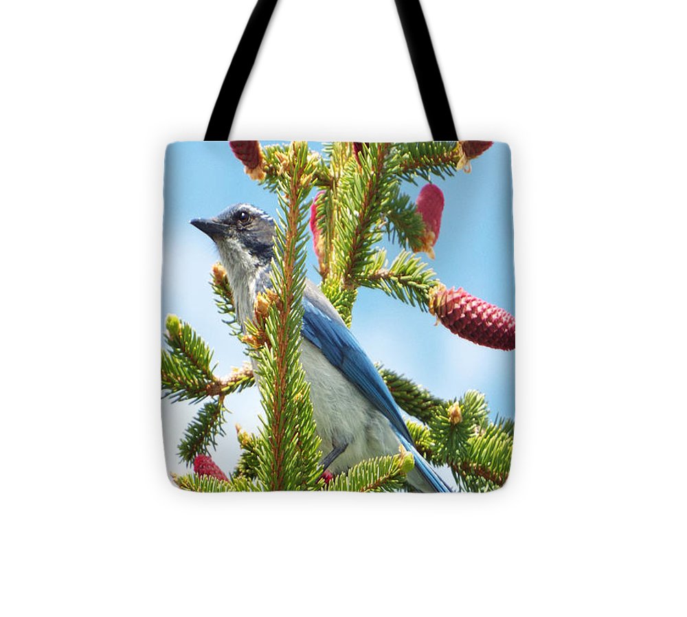 Blue Jay Watches - Tote Bag