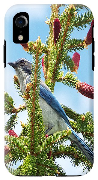 Blue Jay Watches - Phone Case