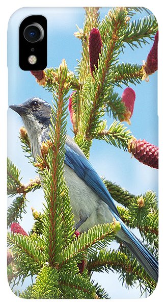 Blue Jay Watches - Phone Case