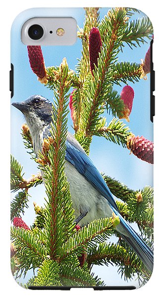 Blue Jay Watches - Phone Case