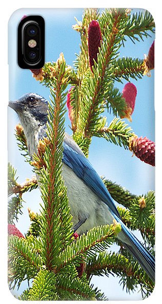 Blue Jay Watches - Phone Case