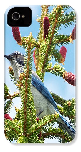 Blue Jay Watches - Phone Case