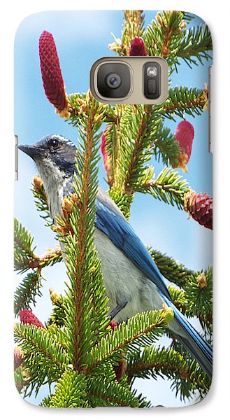Blue Jay Watches - Phone Case