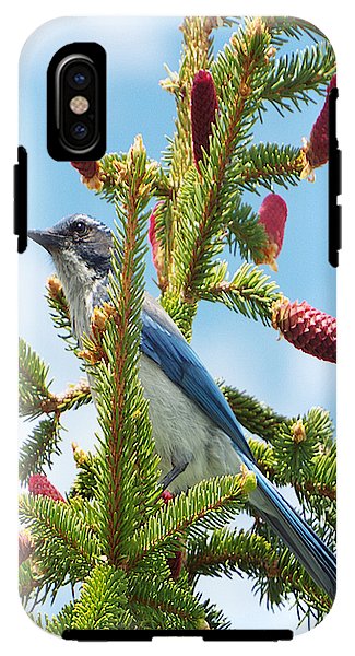 Blue Jay Watches - Phone Case