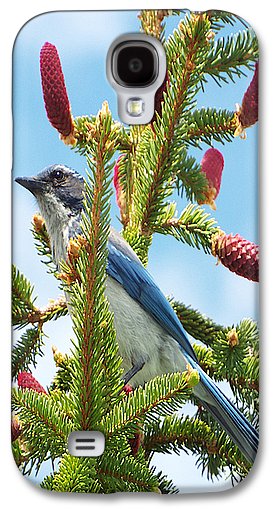 Blue Jay Watches - Phone Case