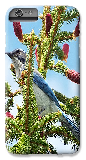 Blue Jay Watches - Phone Case