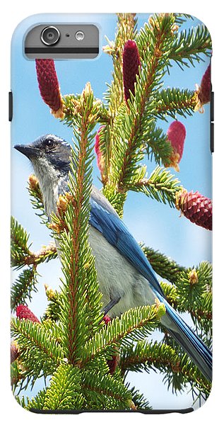 Blue Jay Watches - Phone Case