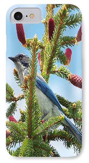 Blue Jay Watches - Phone Case