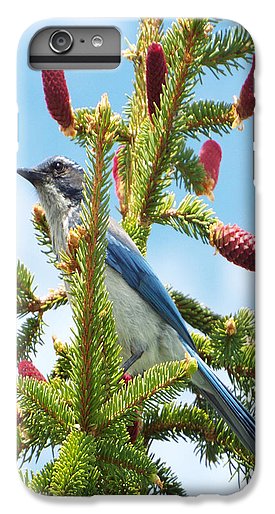 Blue Jay Watches - Phone Case