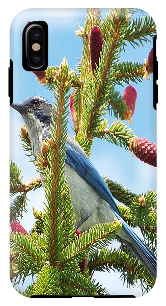 Blue Jay Watches - Phone Case
