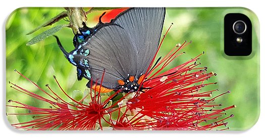 Butterfly Dances - Phone Case