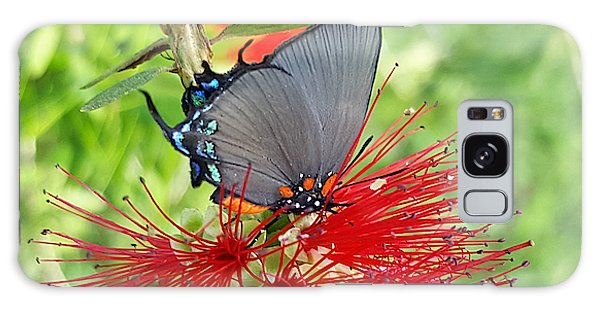 Butterfly Dances - Phone Case