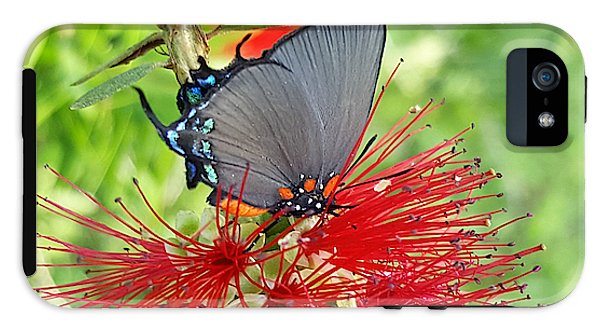 Butterfly Dances - Phone Case