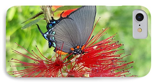 Butterfly Dances - Phone Case