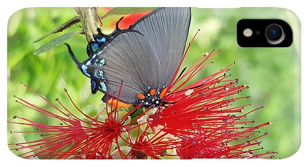 Butterfly Dances - Phone Case