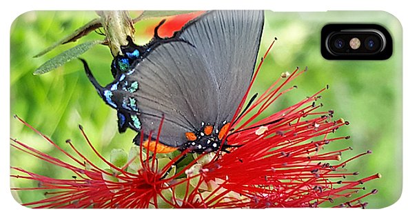 Butterfly Dances - Phone Case