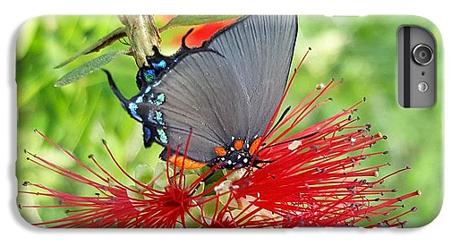 Butterfly Dances - Phone Case
