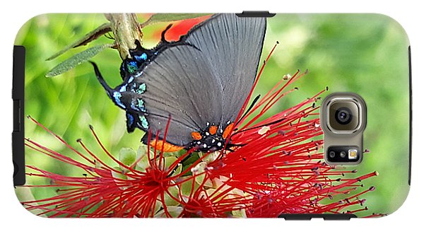 Butterfly Dances - Phone Case