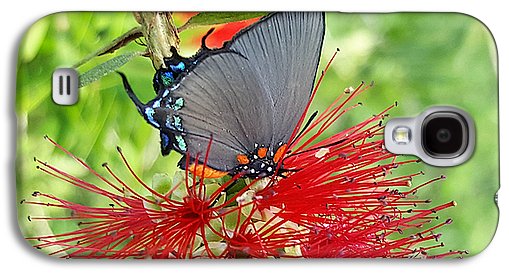 Butterfly Dances - Phone Case