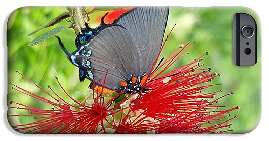 Butterfly Dances - Phone Case