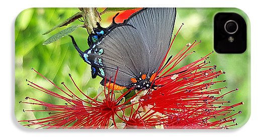 Butterfly Dances - Phone Case