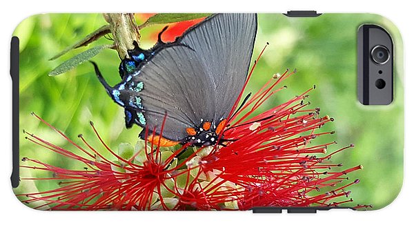 Butterfly Dances - Phone Case