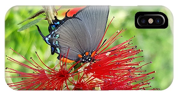 Butterfly Dances - Phone Case