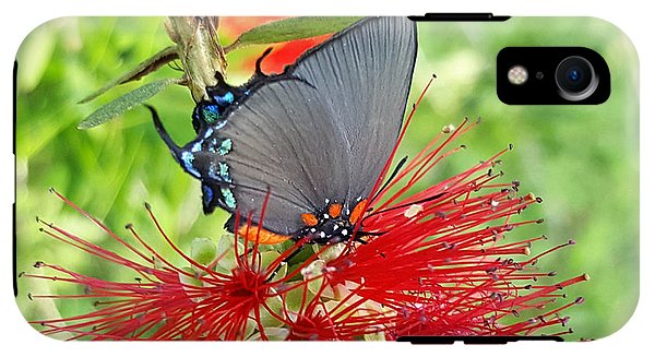 Butterfly Dances - Phone Case