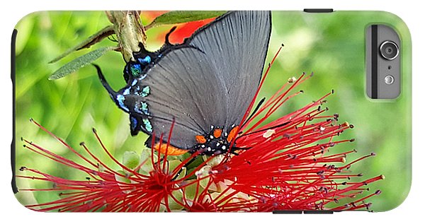 Butterfly Dances - Phone Case