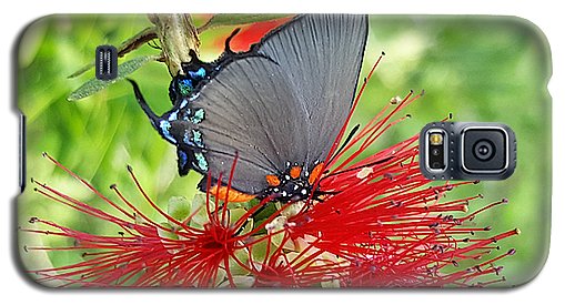 Butterfly Dances - Phone Case